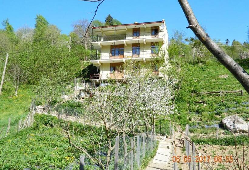 Отель Yesilyayla Eko Turizm