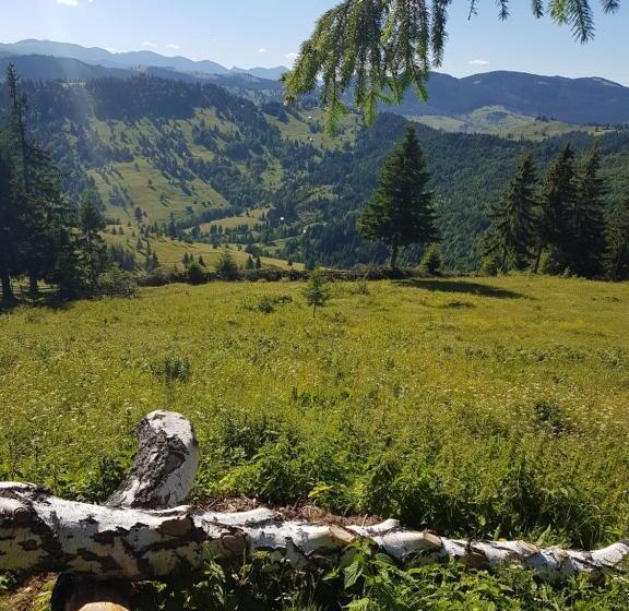 膳宿费 Flower Bell