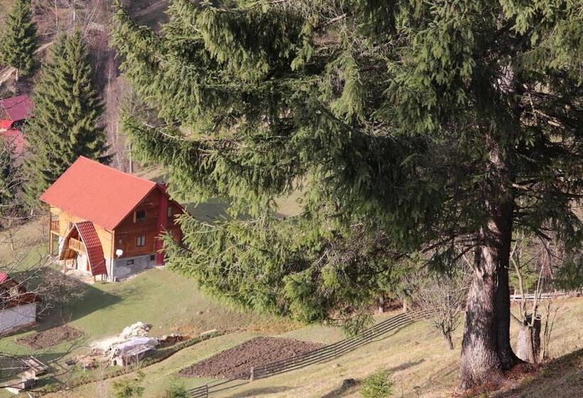 膳宿费 Flower Bell