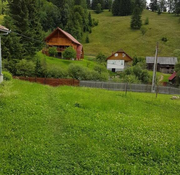 膳宿费 Flower Bell