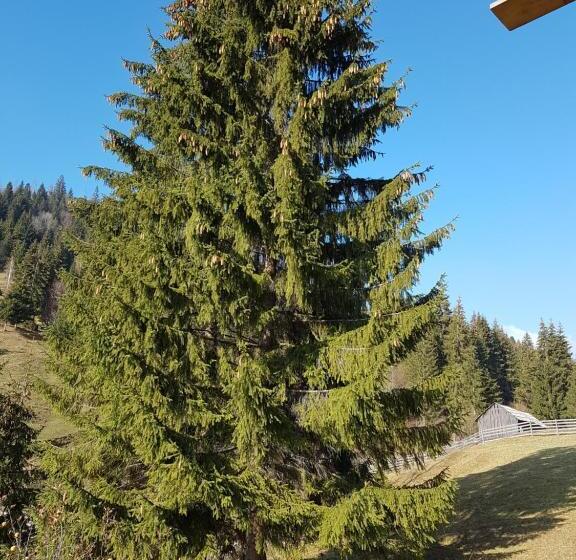 膳宿费 Flower Bell