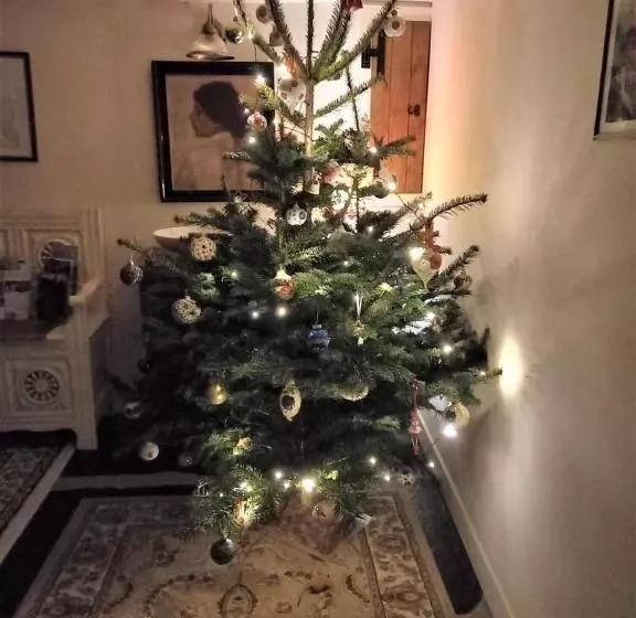 Majatalo Le Parfum Des Fleurs