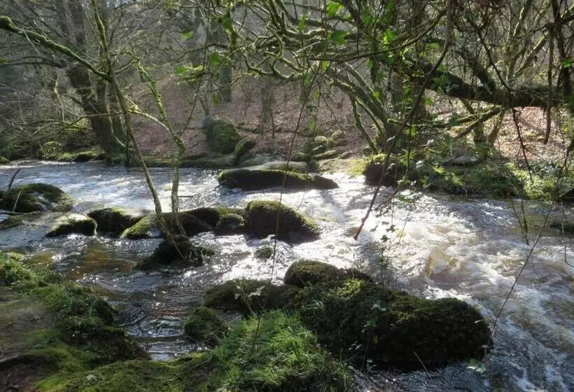 Majatalo Le Parfum Des Fleurs