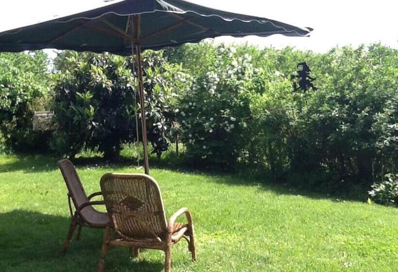 بنسيون Pain Et Confiture