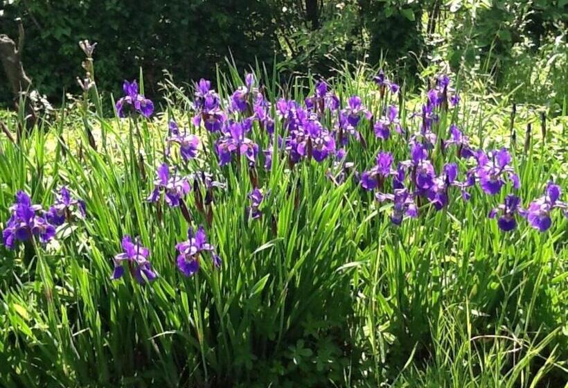 بنسيون Pain Et Confiture