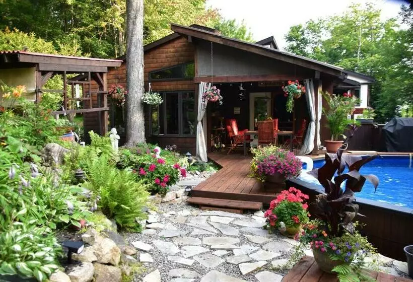 Aamiaismajoitus (B&B) Petit Coin De Paradis