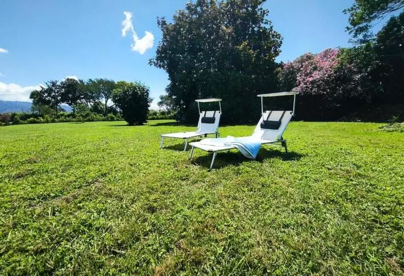 ベッドアンドブレックファースト Versilia Pietrasanta Le Colmate Guesthouse