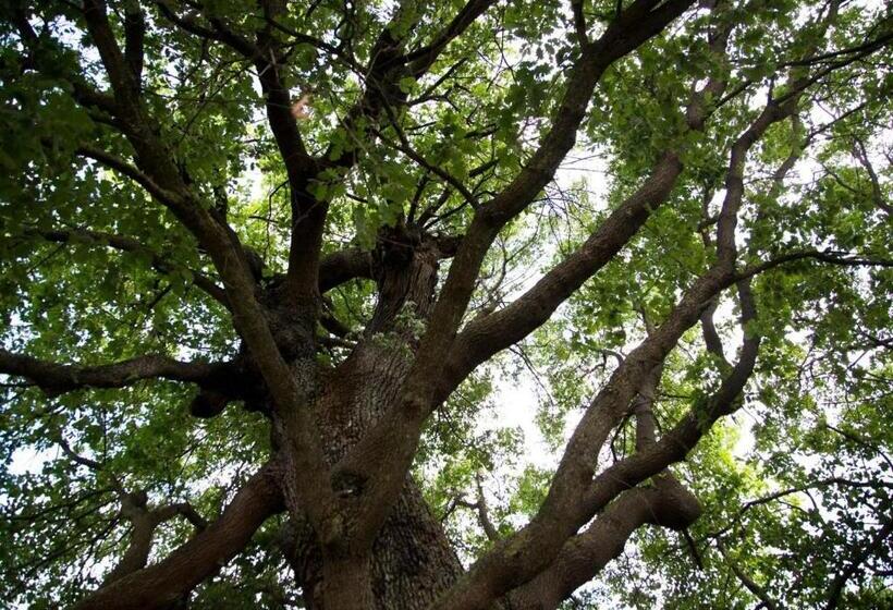 Отель Agriturismo Il Borgo