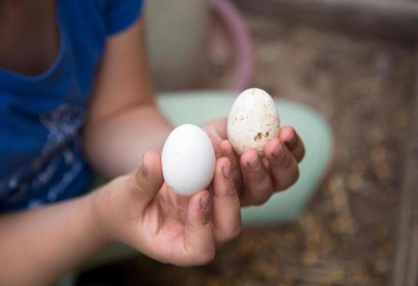 Отель Agriturismo Il Borgo