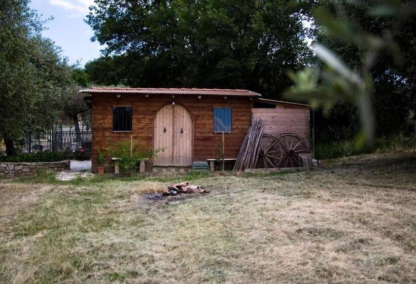 Отель Agriturismo Il Borgo