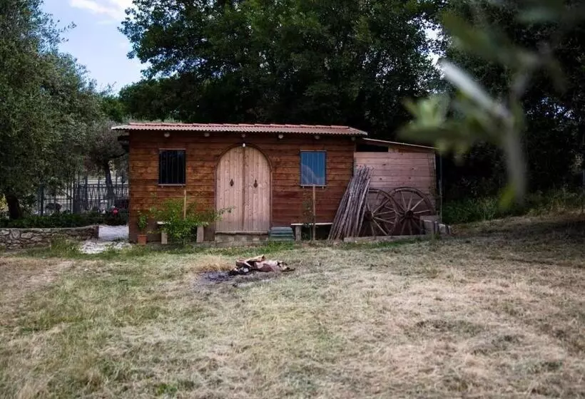ホテル Agriturismo Il Borgo