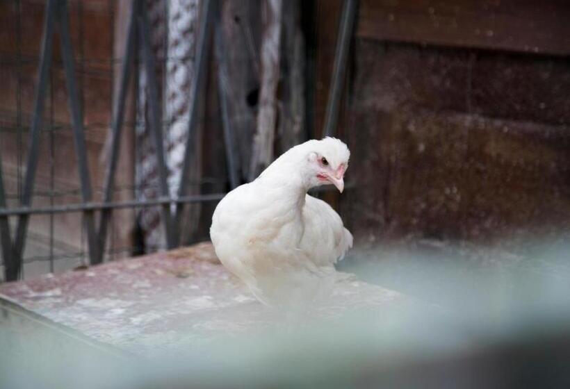 Отель Agriturismo Il Borgo