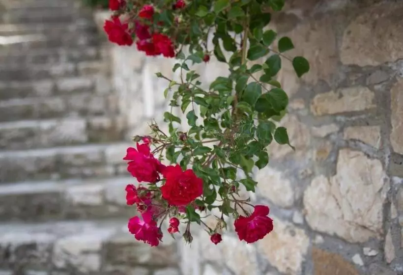 ホテル Agriturismo Il Borgo