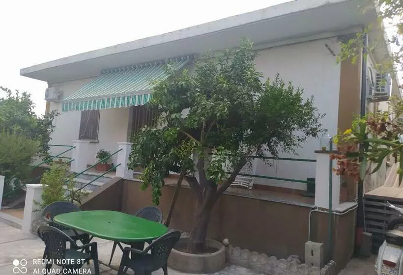 L Americano B&b