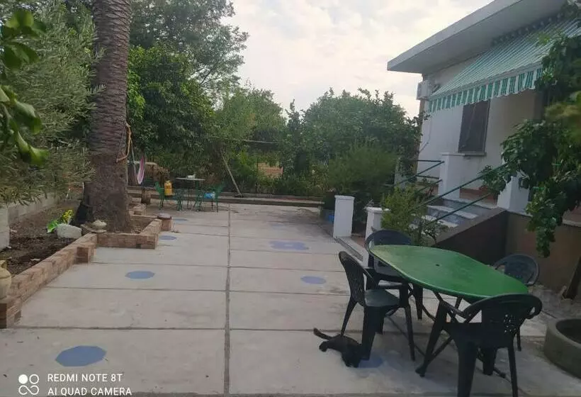 L Americano B&b