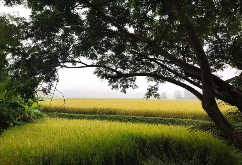 Majatalo อุสาวิวรีสอร์ท