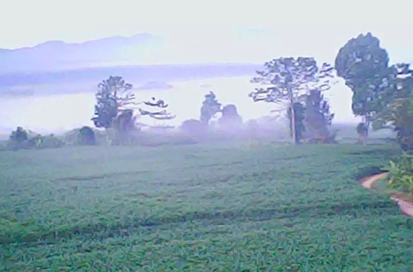 Majatalo อุสาวิวรีสอร์ท