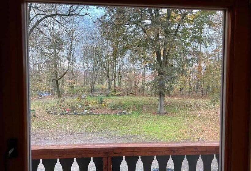 Pensão Nina Apartments