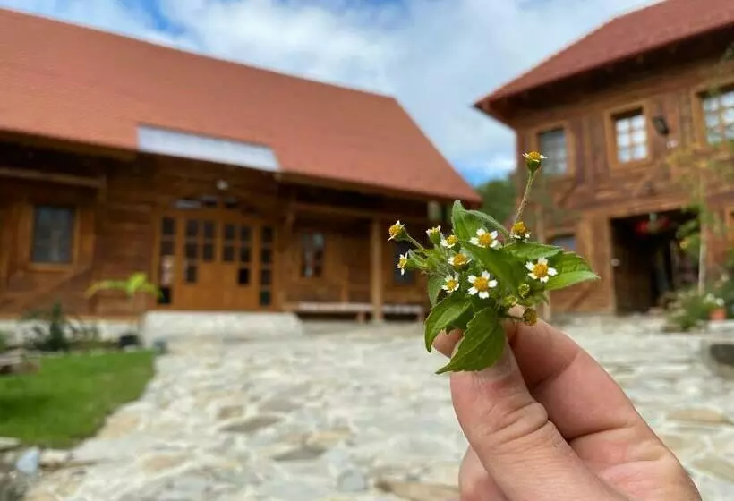 Majatalo Székelyföld,siklódi Kő Vendégház, Csűr