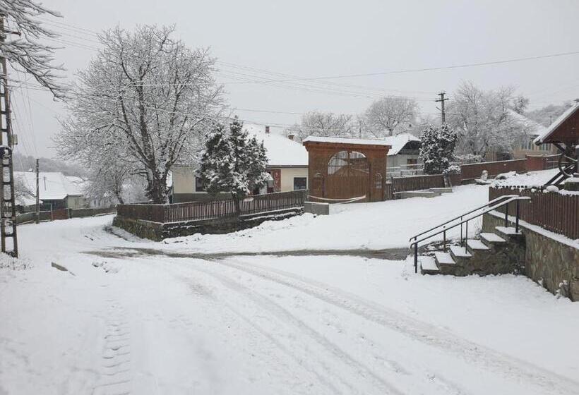 פנסיון Székelyföld,siklódi Kő Vendégház, Csűr