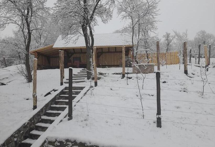 פנסיון Székelyföld,siklódi Kő Vendégház, Csűr