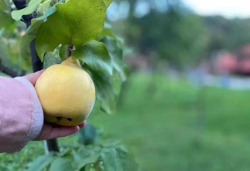 Majatalo Székelyföld,siklódi Kő Vendégház, Csűr