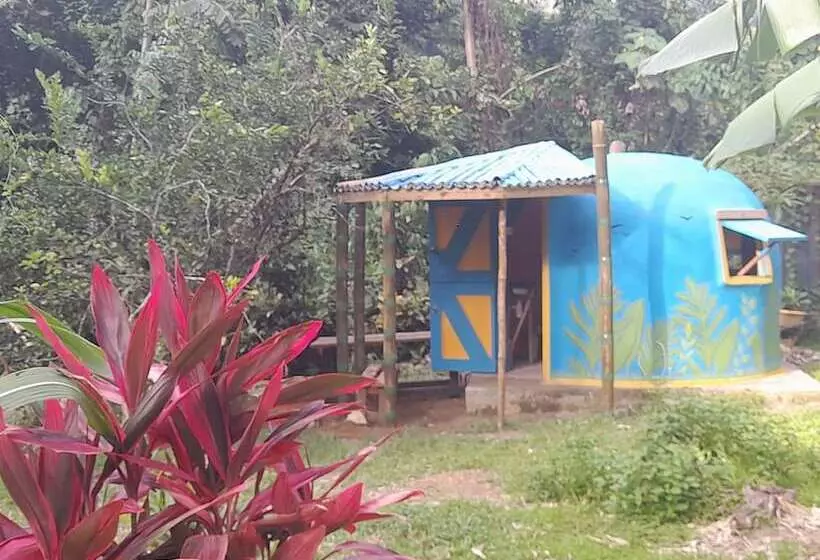 هتل 3 Rivers & Rosalie Forest Eco Lodge