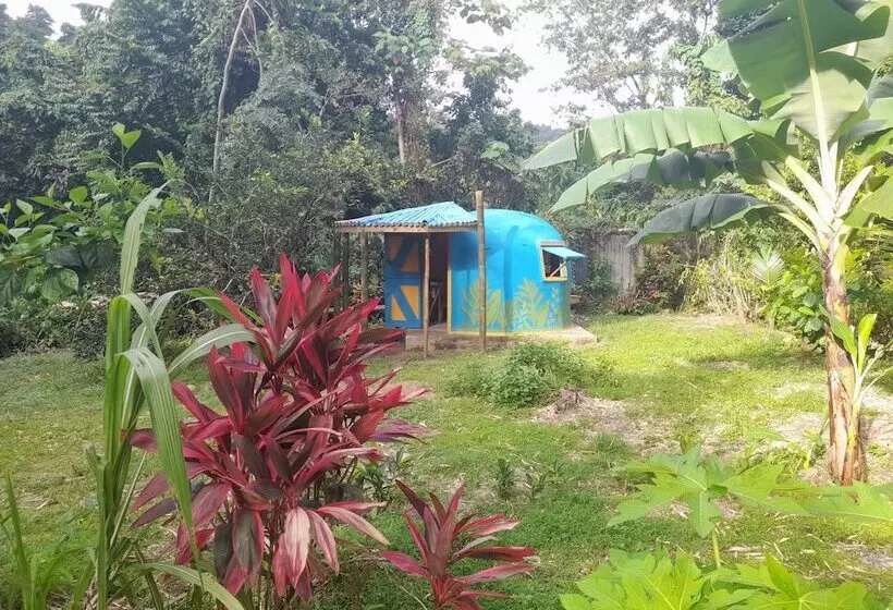 هتل 3 Rivers & Rosalie Forest Eco Lodge