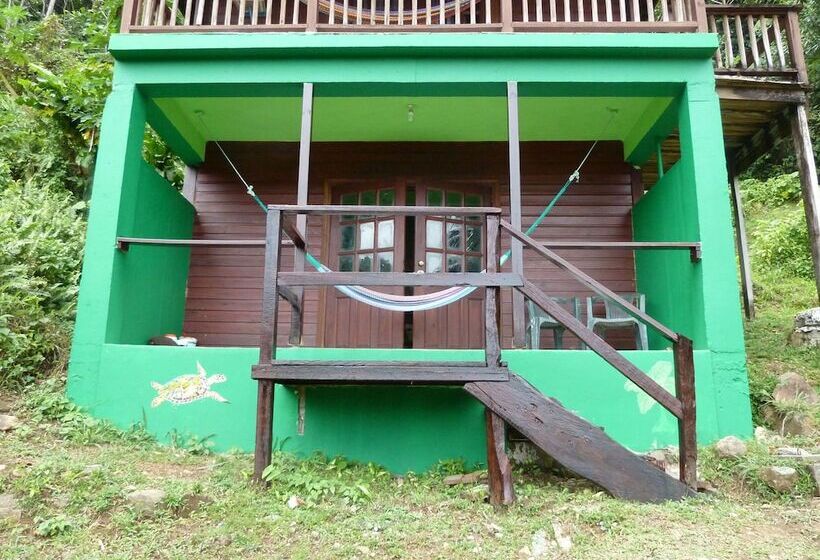 هتل 3 Rivers & Rosalie Forest Eco Lodge