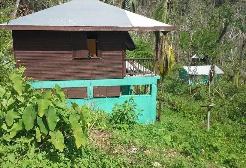 هتل 3 Rivers & Rosalie Forest Eco Lodge