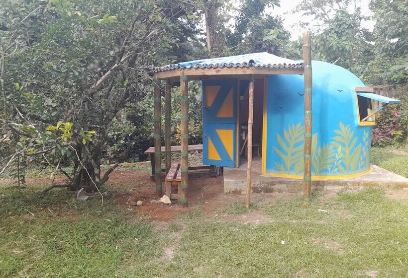 هتل 3 Rivers & Rosalie Forest Eco Lodge