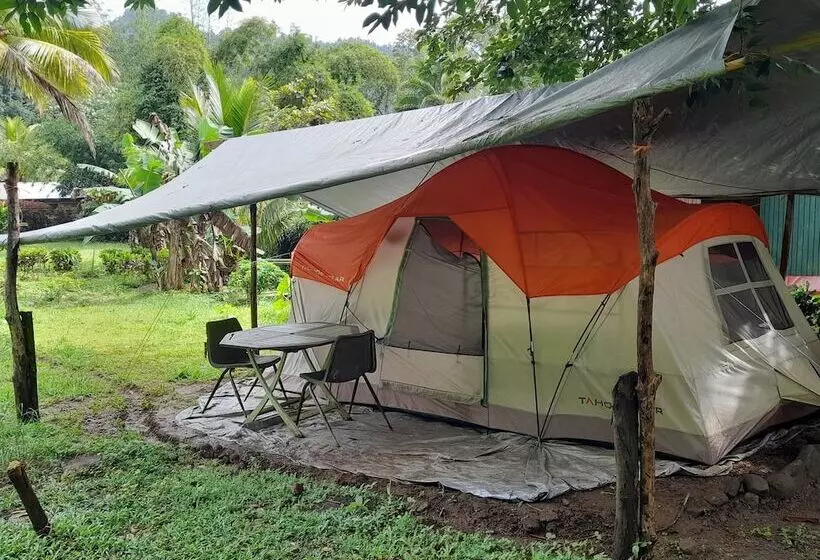 هتل 3 Rivers & Rosalie Forest Eco Lodge