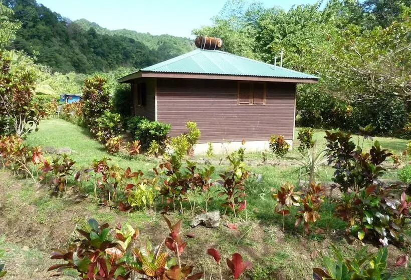 هتل 3 Rivers & Rosalie Forest Eco Lodge