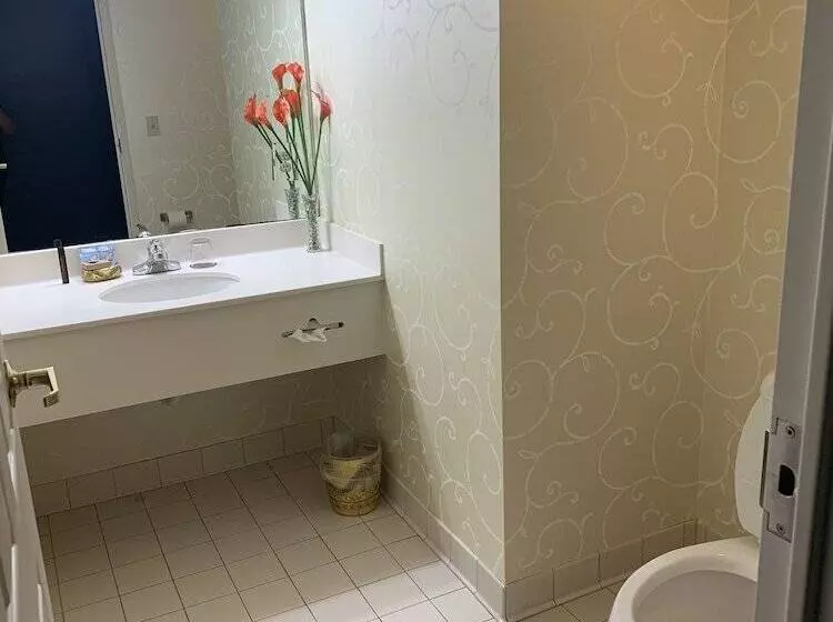 Hotelli French Quarter Inn