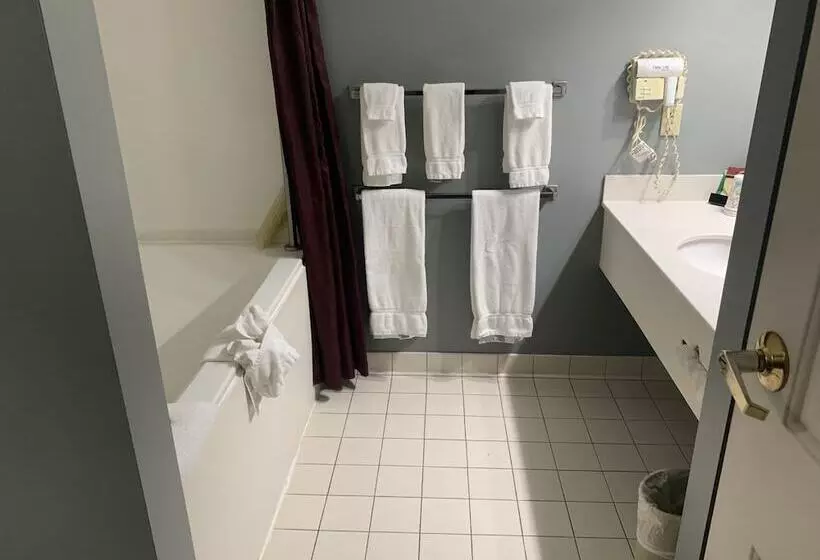 Hotelli French Quarter Inn