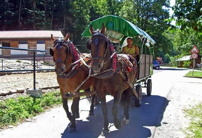Отель Landgasthof Probstei Zella