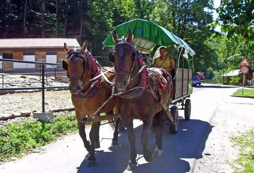 Hotelli Landgasthof Probstei Zella