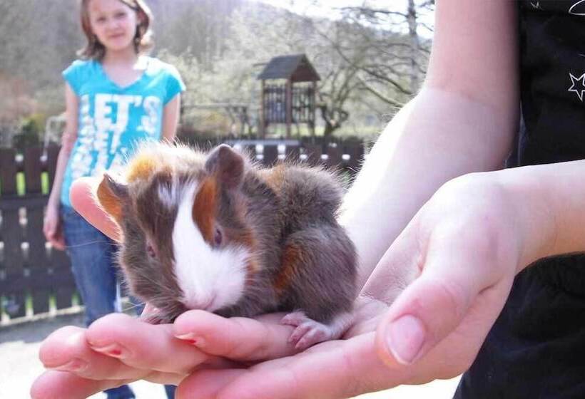 Отель Landgasthof Probstei Zella