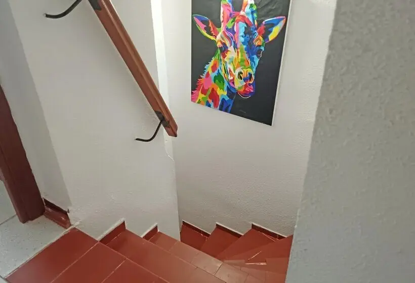 Apartamentos 3000 Marina D Or