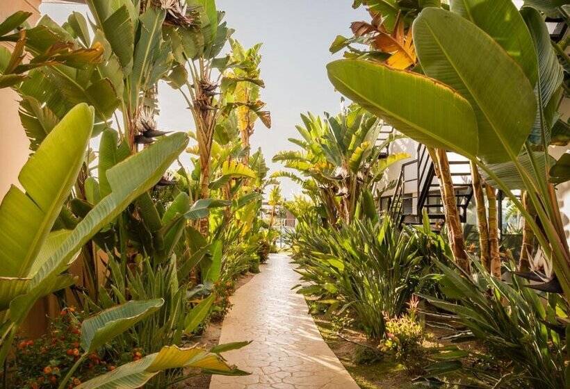 هتل ALEGRIA Palacio Mojacar - Adults Only