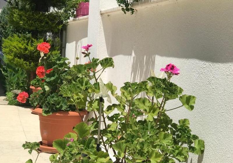 בית מלון כפרי Rota