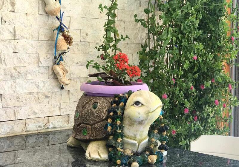 בית מלון כפרי Rota