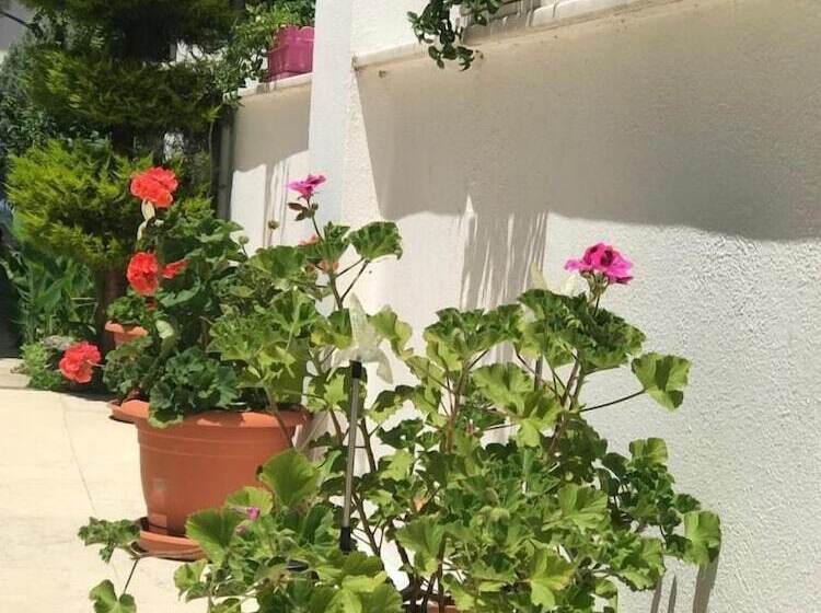 בית מלון כפרי Rota