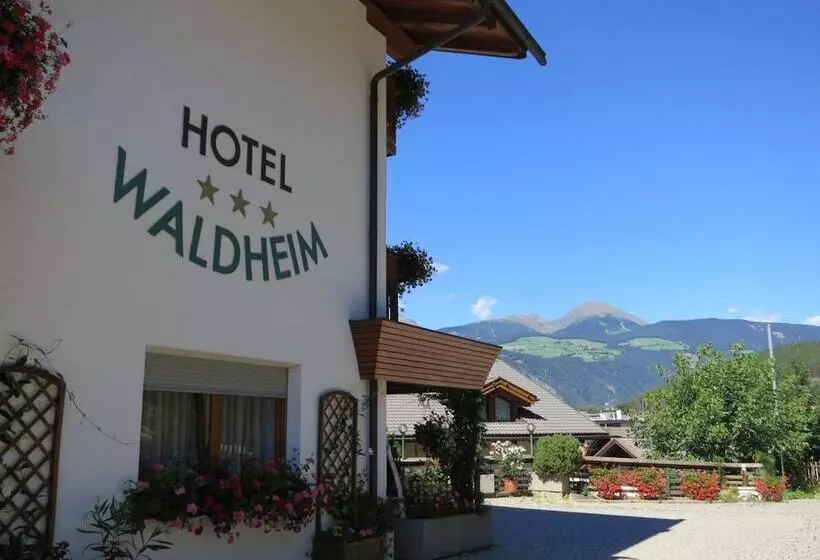 فندق Waldheim