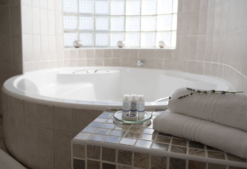 פנסיון President Lodge