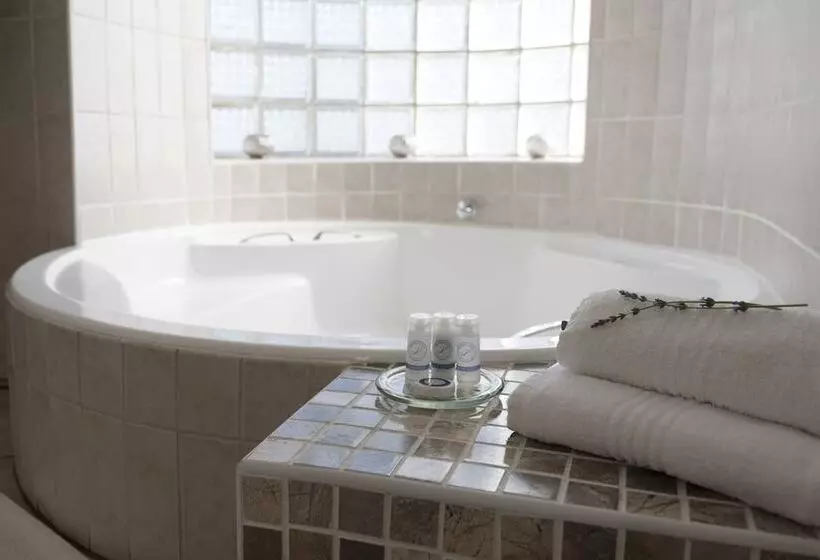 פנסיון President Lodge