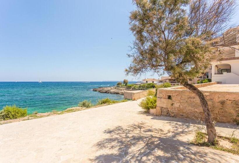 Viviendas Margarita Ii