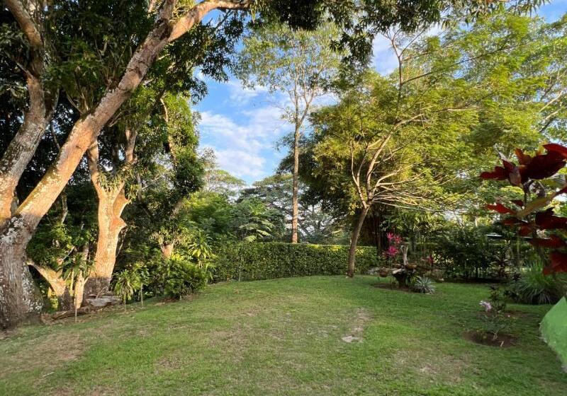 Parador Del Gitano Hotel & Restaurante