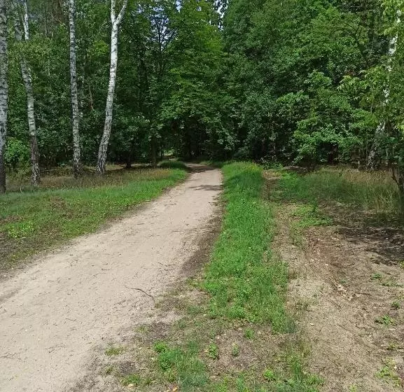 Hotelli Gościniec Silver