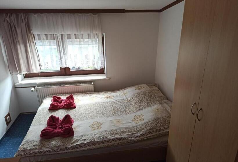 Hotelli Gościniec Silver